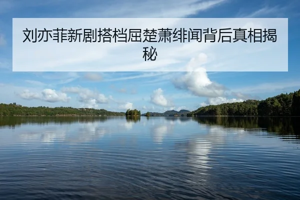 liu-yi-fei-xin-ju-da-dang-qu-chu-xiao-fei-wen-bei-hou-zhen-xiang-jie-mi-2-461.jpg